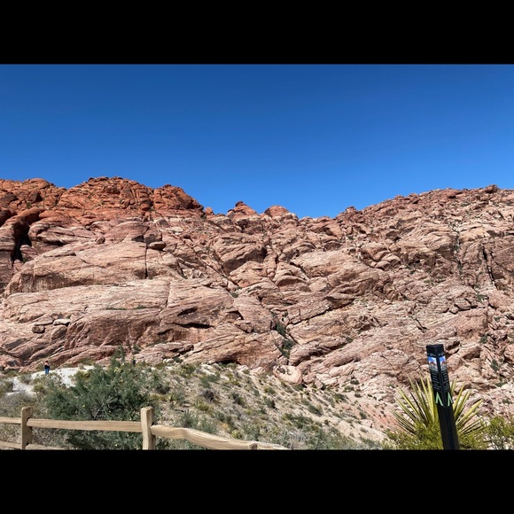 Meet your Posher, Veronica - Picture 1 of 1